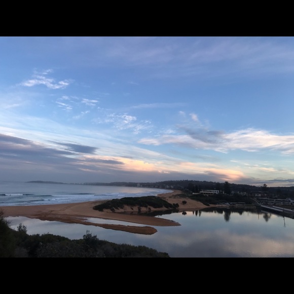 Meet your Posher, Cedar - Picture 1 of 1